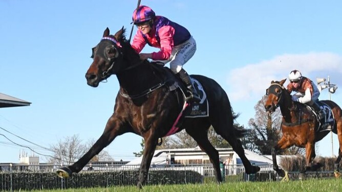 Flower Of Wanaka winning the Listed Team Wealleans Tauranga Classic (1400m) at Hastings on Saturday.  - Photo: Peter Rubery (Race Images Palmerston North)