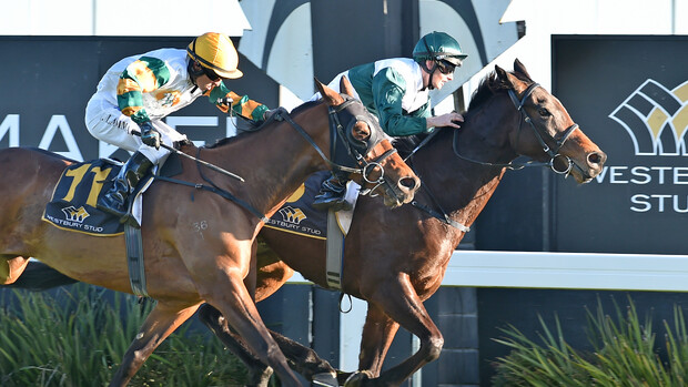 Meeska Mooska wins the Westbury Club Mile 27/8/16 - Race Images