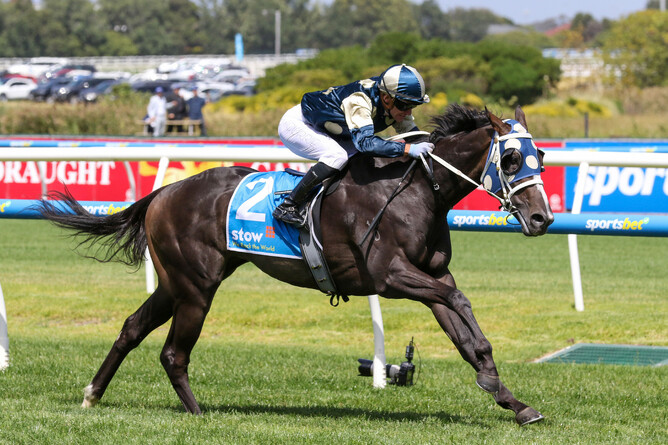 Exciting three-year-old Immediacy on his way to winning the Gr.2 Autum Classic (1800m) at Caulfield.  - Photo: Bruno Cannatelli