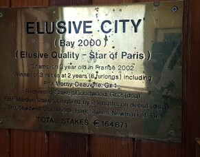 Student Danielle Southey's April update from the Irish National Stud