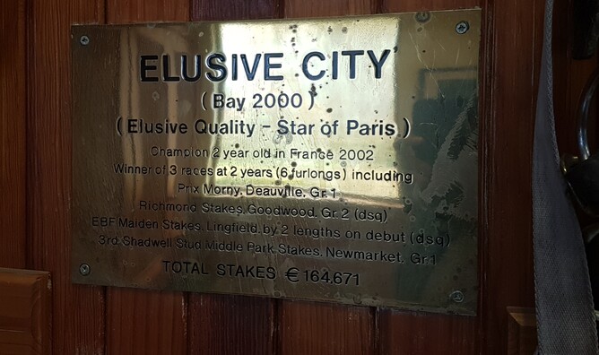 former Haunui Farm stallion Elusive City's name plate