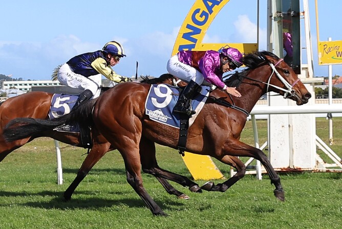 Platinum Diamond winning Saturday's Listed Wanganui Guineas (1200m).  - Photo: Jane Davidson