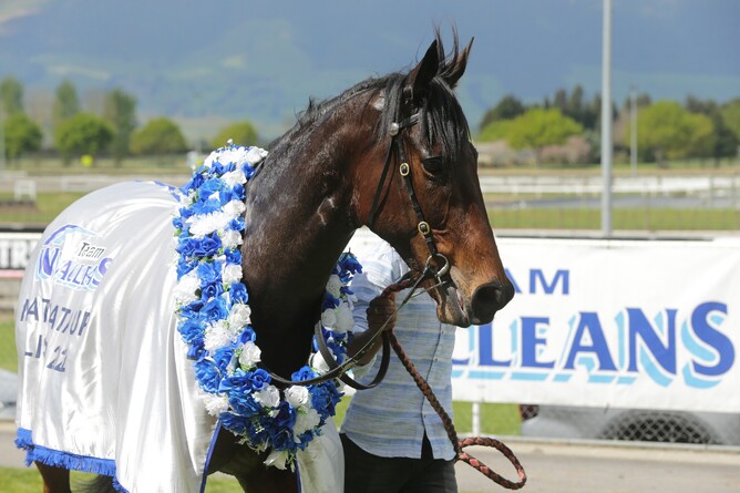 Paisley Park parades after his Matamata victory - Photo: Trish Dunell