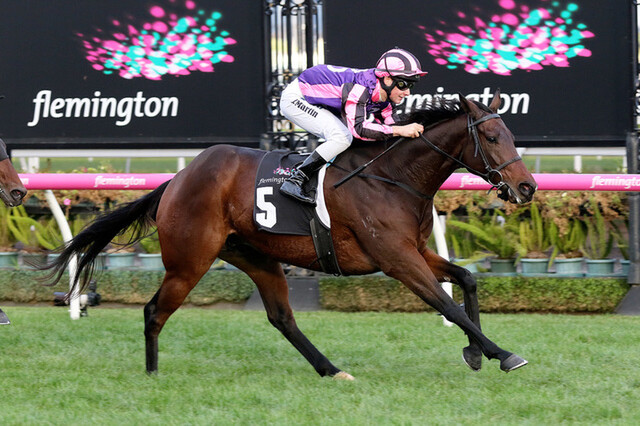 Craven Plate winner Moss'n'Dale