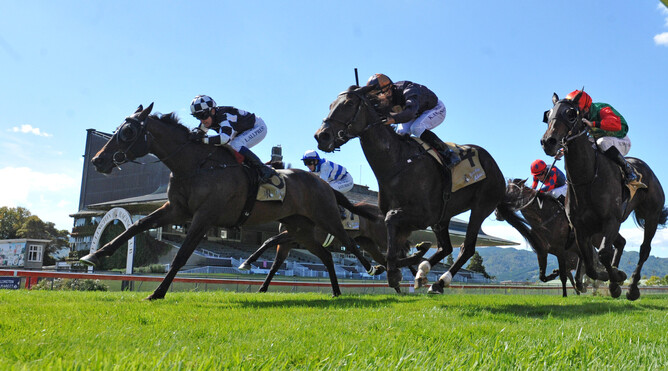 Sinarahma (black & white chequers) defeats Mai Tai and Samiam Seussie (rail) in the Gr.3 Wentwood Grange Cuddle Stakes (1600m) at Trentham Photo Credit: Race Images – Peter Rubery