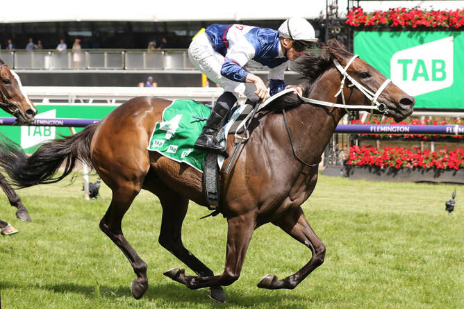 Atishu sold for A$2.7 million at the Magic Millions’ National Broodmare Sale on Tuesday.   - Photo: Bruno Cannatelli
