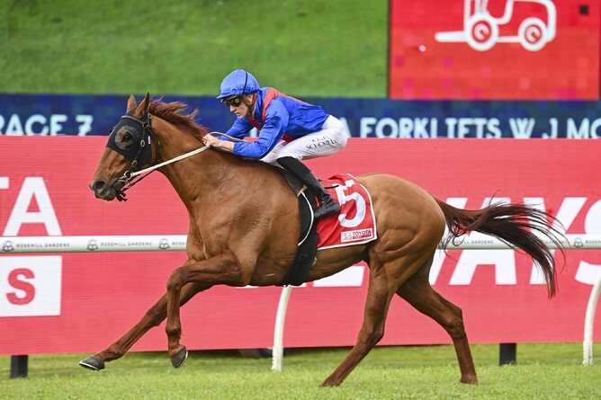 Golden Path was an east winner of  Listed W J Mckell Cup (2000m) at Rosehill - Photo: Bradleyphotos.com.au