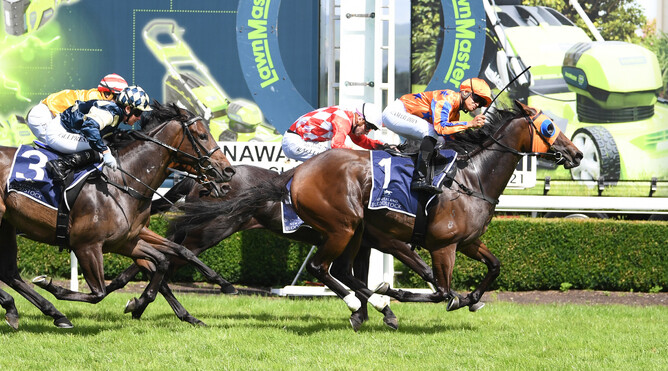 Belle En Rouge takes victory in the Gr.3 LawnMaster Eulogy Stakes (1600m) at Awapuni. Photo: Race Images – Peter Rubery