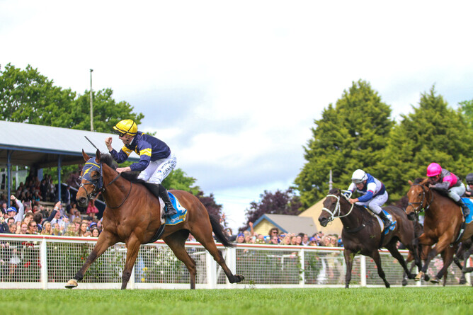 John Allen celebrates as Bankers Choice cruises to victory in the Listed Ballarat Cup (2000m) - Photo: Bruno Cannatelli
