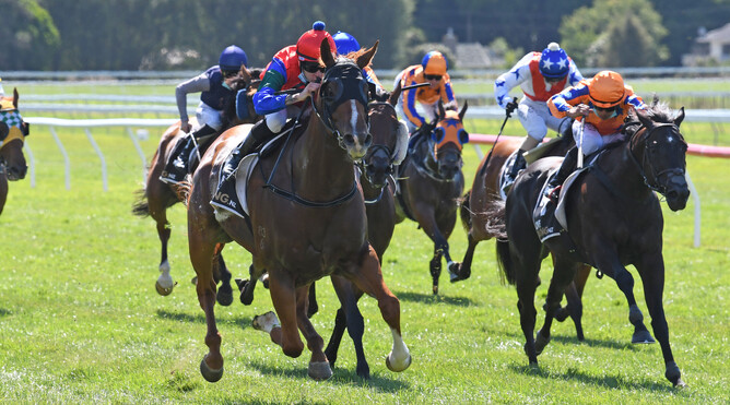 Mascarpone has his rivals covered as he heads to victory in the Gr.1 El Cheapo Cars WFA Classic (1600m) at Otaki Photo Credit: Race Images - Peter Rubery