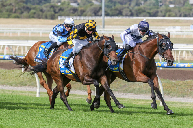 The Gai Waterhouse and Adrian Bott-trained Goldman (inside) triumphed in the Listed Pakenham Cup (2500m) on Saturday. - Photo: Bruno Cannatelli
