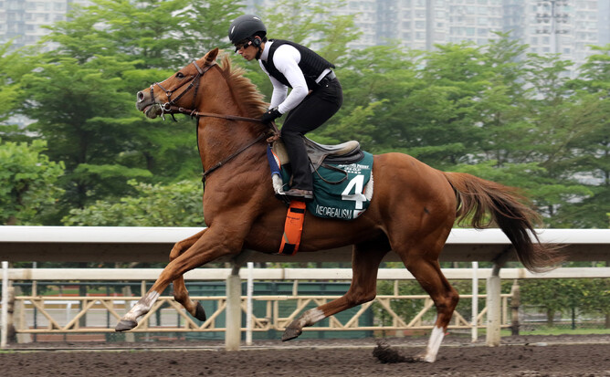 Track rider Shinjiro Kaneko's goggles were the talk of Sha Tin