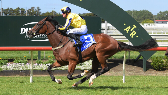 Waitak winning the Gr.1 Sistema Railway (1200m) at Pukekohe on New Year's Day.  - Photo: Kenton Wright (Race Images)