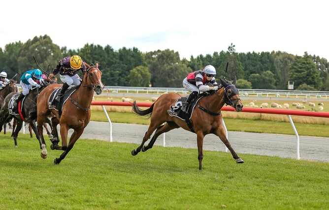 Aberlour and Jasmine Fawcett stride away with the Listed Liqourland Gore Guineas (1335m) on Saturday.  - Photo: Monica Toretto