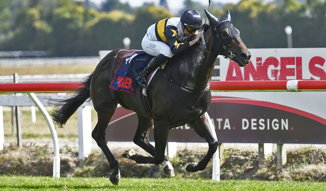 Australian raider Here To Shock runs away with the Gr.1 BCD Group Sprint (1400m) at Te Rapa.   - Photo: Kenton Wright (Race Images)