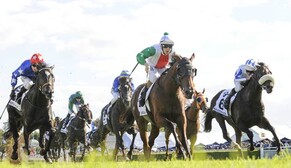 Jon Snow - Lord Commander of the Derby