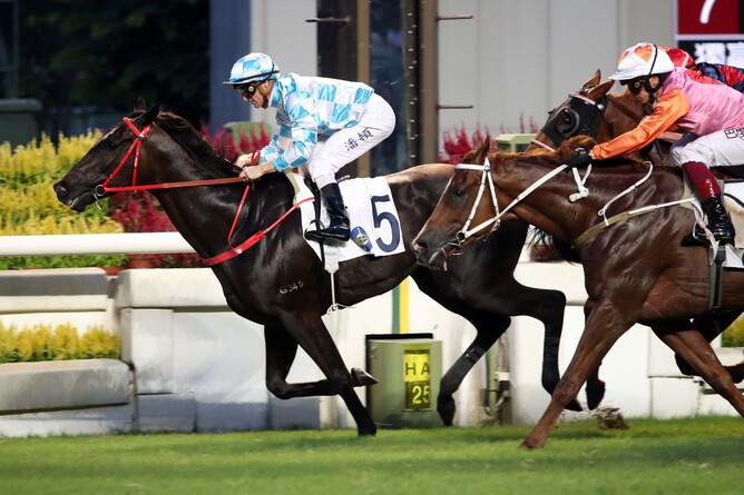 Tuchel, a four-year-old son of Redwood, won the Gr.3 Premier Plate (1800m) at Sha Tin on Sunday - Photo: HKJC