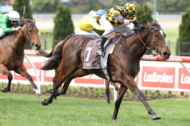 Zouzarella storms to victory at Moonee Valley Photo Credit: Bruno Cannatelli