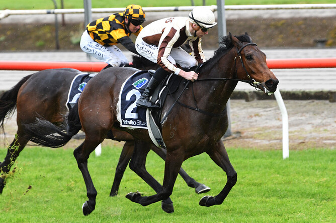 Legarto will head to the A$10 million Golden Eagle after her Listed Matamata Cup (1600m) victory on Saturday. - Photo: Kenton Wright (Race Images)