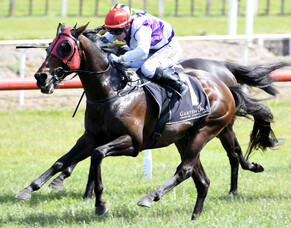 Time called on Ocean Emperor’s career