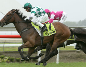 Lasarla wins the NRM Auckland Thoroughbred Breeders’ Stakes