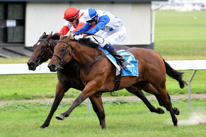 Bostonian&#039;s win part of magnificent family journey