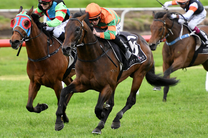 Listed PRH Transport Trophy (1600m) at Tauranga Photo Credit: Race Images – Kenton Wright