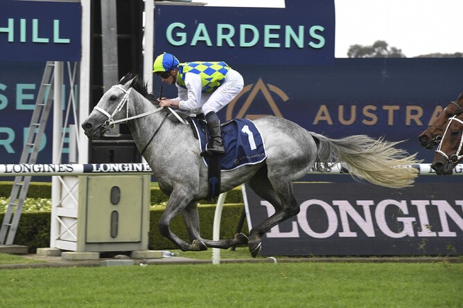 Polly Grey takes out the Listed ATC Cup (2000m) at Rosehill Photo: Bradleyphotos.com.au