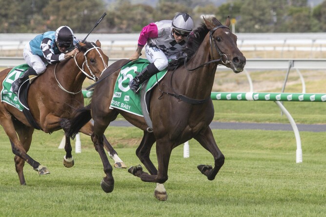 Surprise Baby could become breeder Rich Hill Stud’s second Gr.1 Melbourne Cup (3200m) winner in six years. Photo: Atkins Photography