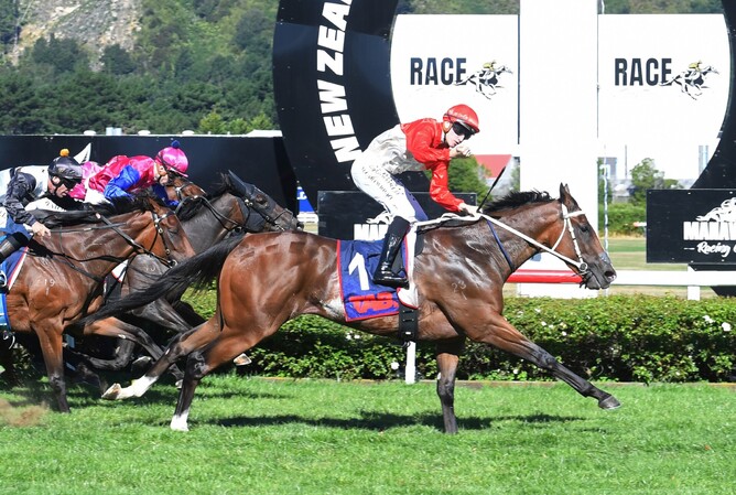 Kiwi Skyhawk winning the Gr.3 Manawatu Classic (2100m) at Trentham on Saturday.  - Photo: Peter Rubery (Race Images Palmerston North)