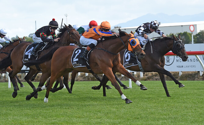 South African rider Craig Zackey claims a winning stakes double at Te Rapa with his victory aboard Prise De Fer - Photo: Race Images – Megan Liefting