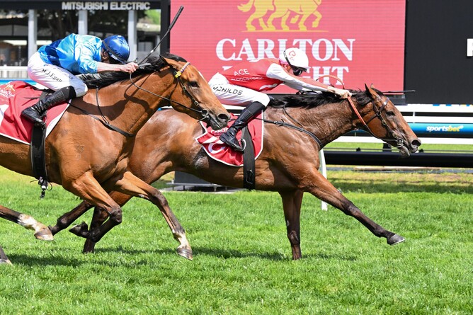 Former New Zealand-trained mare Niance winning the Listed Alinghi Stakes (1100m) at Caulfield - Photo: (Reg Ryan/Racing Photos)