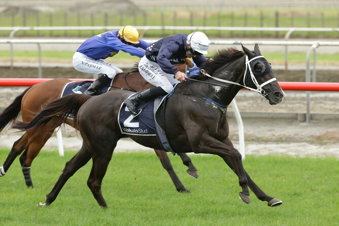 Colorado Star fights hard to win the Listed Matamata Veterinary Services Kaimai Stakes (2000m) - Photo: Trish Dunell
