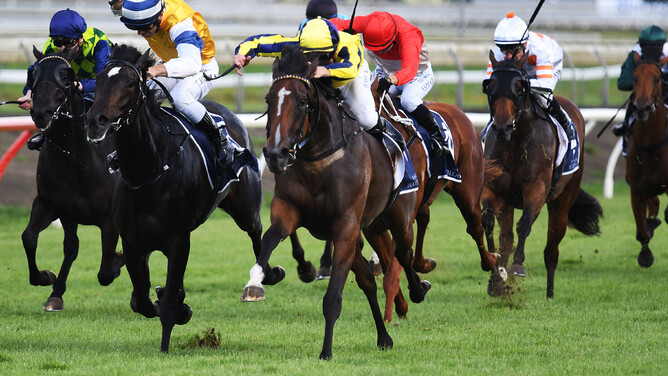 Molly Bloom winning the Gr.2 Eight Carat Classic (1600m) at Pukekohe on Tuesday. - Photo: Kenton Wright (Race Images)