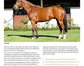 2020 New Season Sires- Wyndspelle