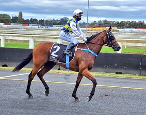 Pearl Series continues to be profitable