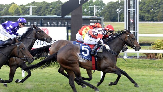Deb and jockey Masa Tanaka stave off the challenge by Nutee to win a 1215m maiden race at Rotorua last week.