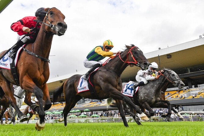 Ceolwulf (centre) prevailed in a tight finish in the Gr.2 Neville Sellwood Stakes (2000m) at Rosehill on Tuesday. - Photo: bradleyphotos.com.au