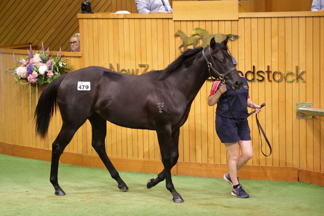 Lot 479 the Savabeel x Thee Auld Floozie filly purchased for $620,000.  - Photo: Trish Dunell