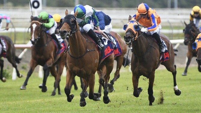 Nereus (left) winning the Gr.3 TAB Counties Cup (2100m) at Pukekohe on Saturday. - Photo: Kenton Wright (Race Images)