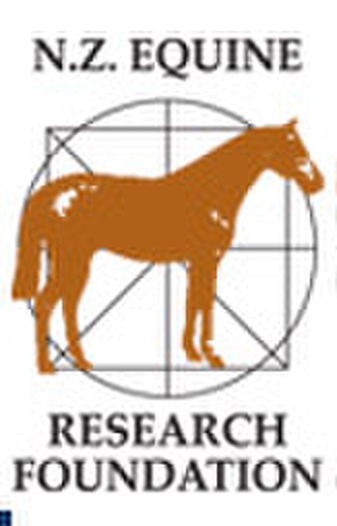 2015 Bayer Lecture Series Equine Back Pain New Zealand Thoroughbred