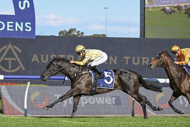 Major Beel returns to winning form at stakes level, taking out the Listed ATC Cup (2000m) at Rosehill on Saturday.  - Photo: Bradleyphotos.com.au