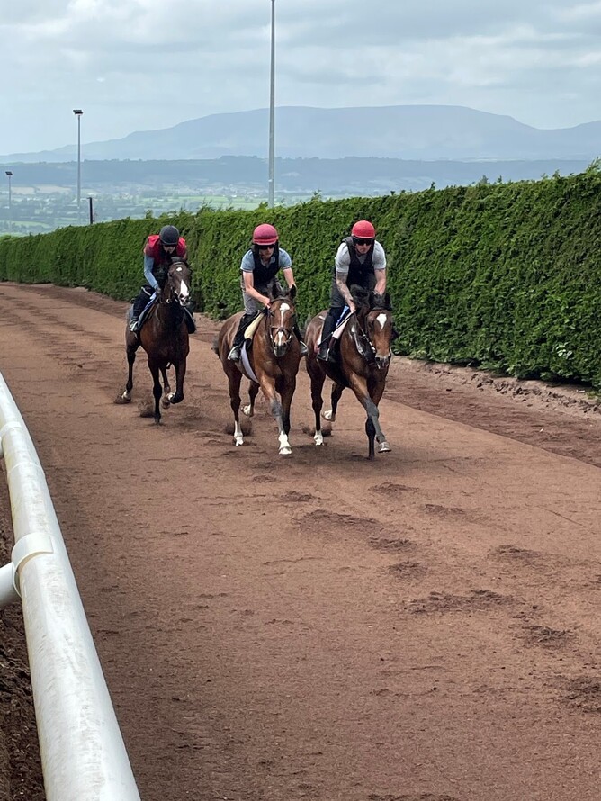 2 year old colts working up the rise at Joseph O’Brien