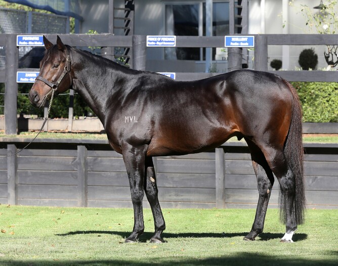 Champion sire Proisir completes Rich Hill Stud’s unfinished business New Zealand Thoroughbred Champion sire Proisir completes Rich Hill Stud’s unfinished business New Zealand Thoroughbred