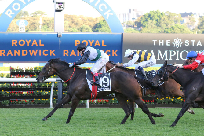 Rags to riches horse Mr Brightside heads a Kiwi-bred trifecta with victory over I’m Thunderstruck and Icebath in the Doncaster Mile.