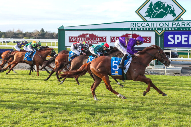 Belardo Boy winning the Gr.3 Winter Cup (1600m). - Photo: Race Images South