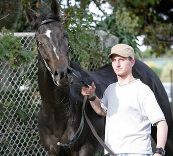 'Crossthestart', winner of the 2010 Brisbane Cup with her handler