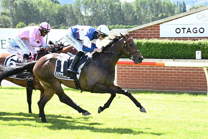 Hasabro takes out the Listed Alleviate Administration Hazlett Stakes (1200m) at Wingatui Photo Credit: Tayler Strong