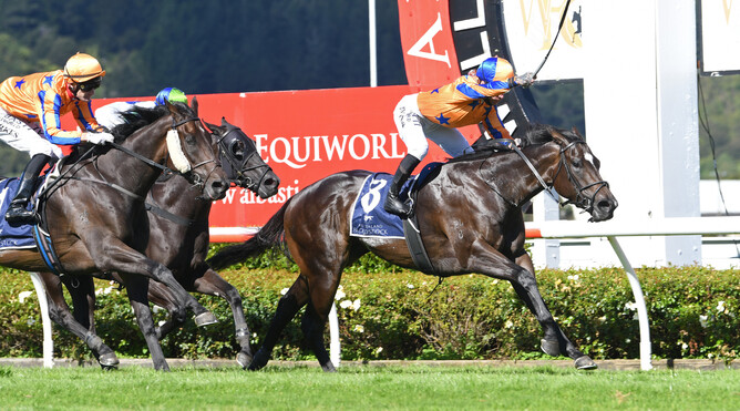 Imperatriz downs stablemates On The Bubbles and I Wish I Win (rail) to win the Gr.1 Wellington Seamarket Levin Classic (1600m) Photo Credit: Race Images – Grant Matthew