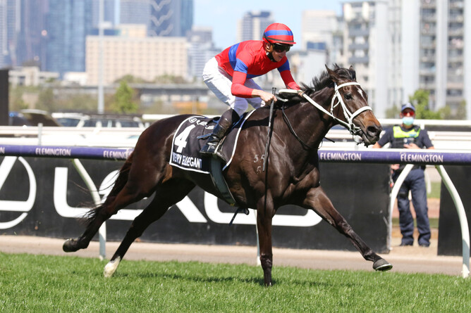 Opulence, the dam of Verry Elleegant (pictured), died in the aftermath of foaling a full sister to the champion galloper - Photo: Bruno Cannatelli